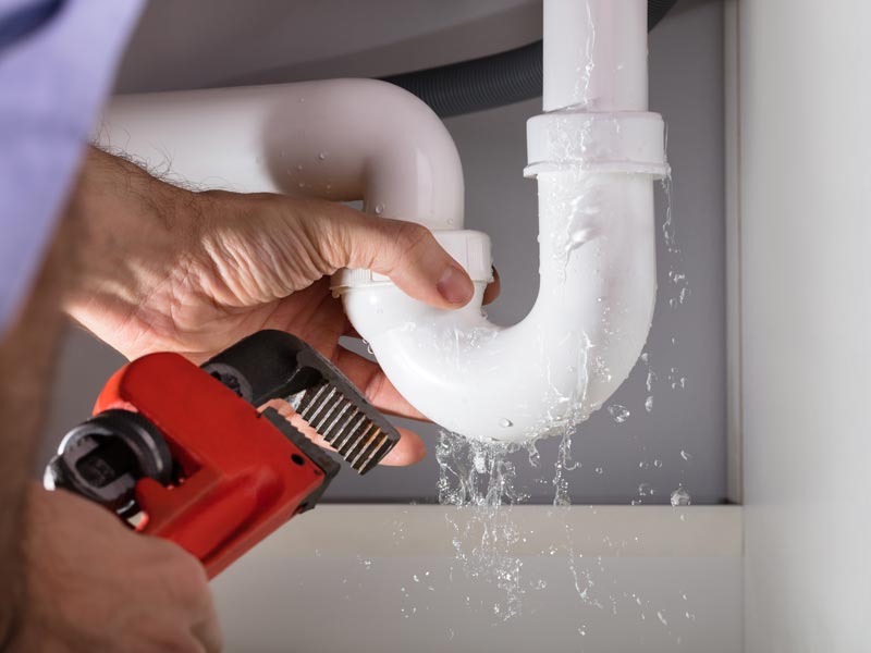 Sparta, NJ Plumbers, Plumbing | The Polite Plumber